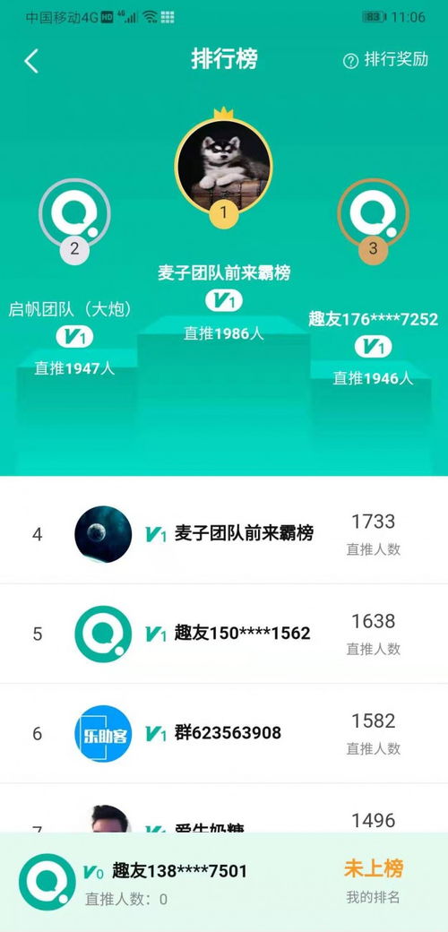 趣分類系統開發與APP定制 專業鑄就品質，技術賦能企業